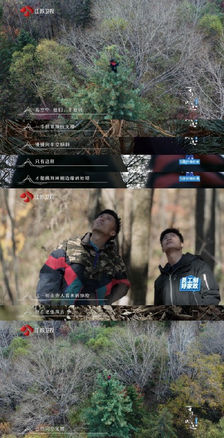 看完百姓的味道第一期观后感后,发现帅帅谢霆锋真的成熟了