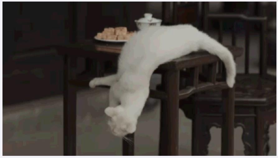 如何保证动物演员在剧组安全不会受到非人道待遇