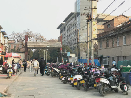 大学校园里面该不该禁行电动车呢?有共享单车就够了吗?