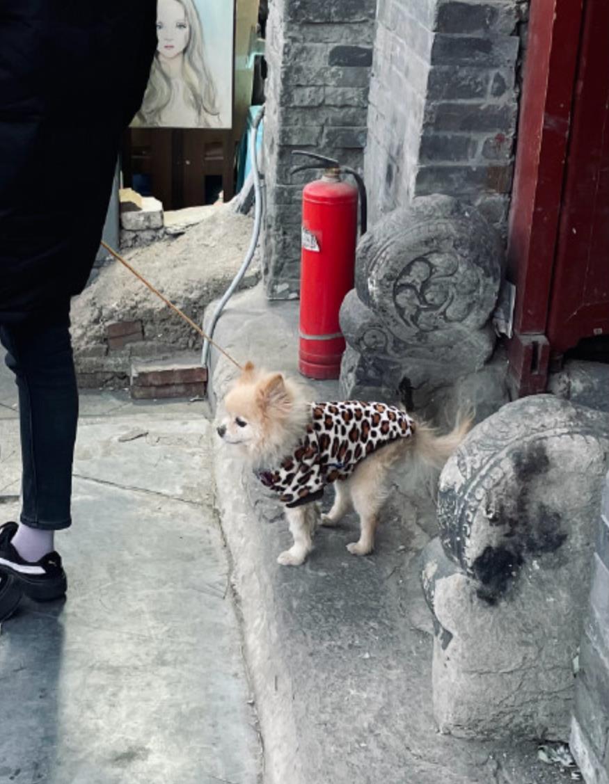 聊聊当代年轻人的破防瞬间都是在什么时间出现的吧.