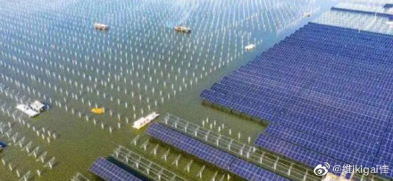 印尼宣布禁止煤炭出口和茅台酒涨价的背后.影响着哪些行业