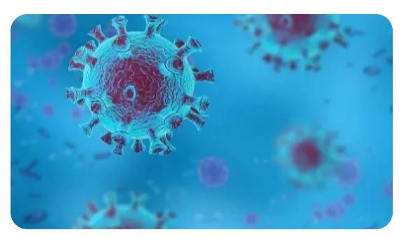 当年2020年的杀人毒株又来了吗?疾控回应中心专家解答