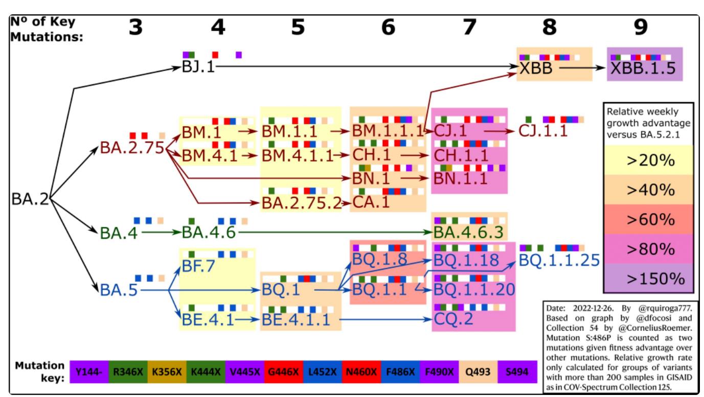 最新研究XBB.1.5毒株致病性或未增强2-3周内痊愈及注意事项