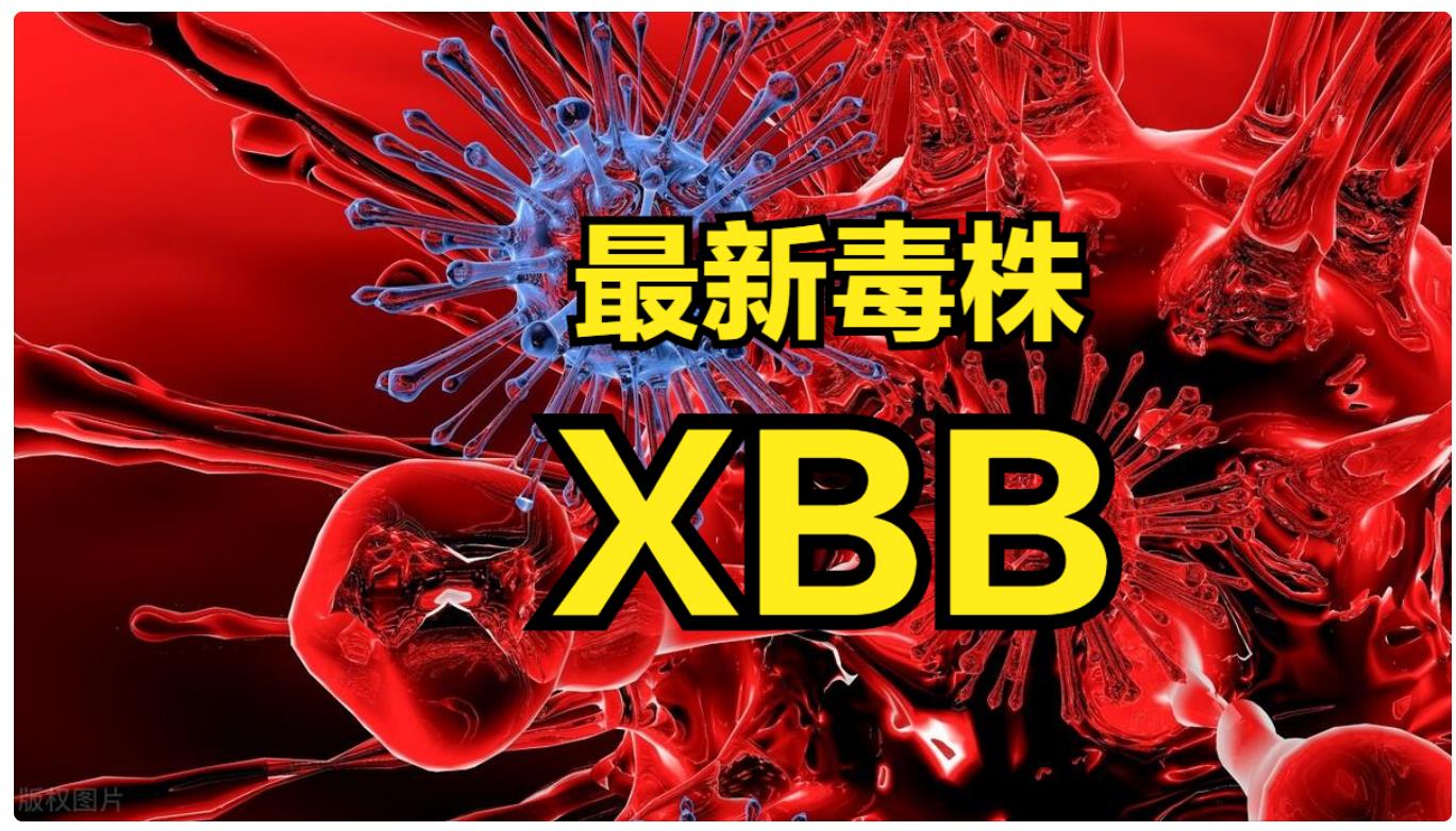 应对新冠要囤蒙脱石散在家里?专家放个屁又开始疯抢了