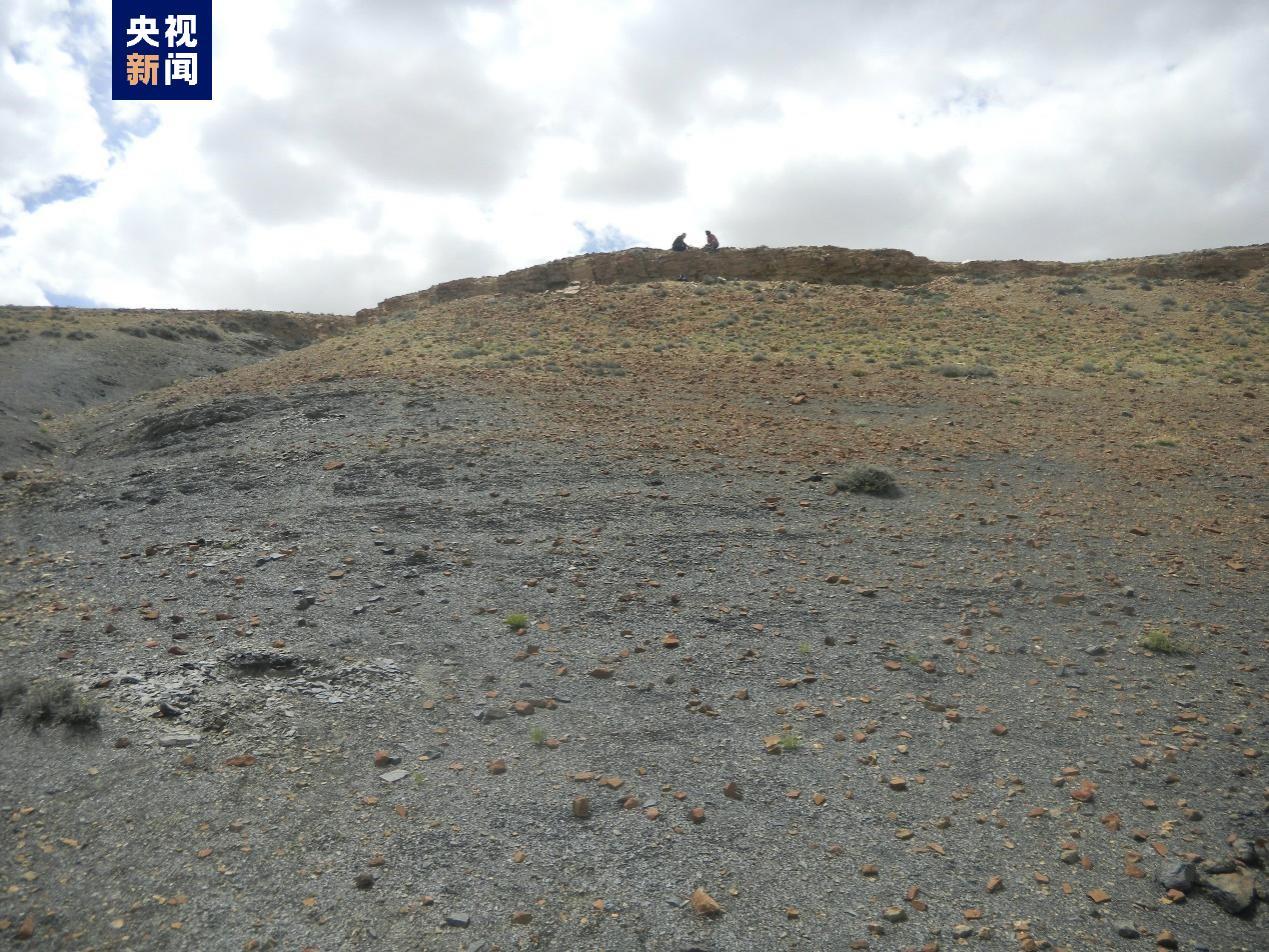 研究团队发现生物大灭绝与紫外线强度有关系.那会影响人类
