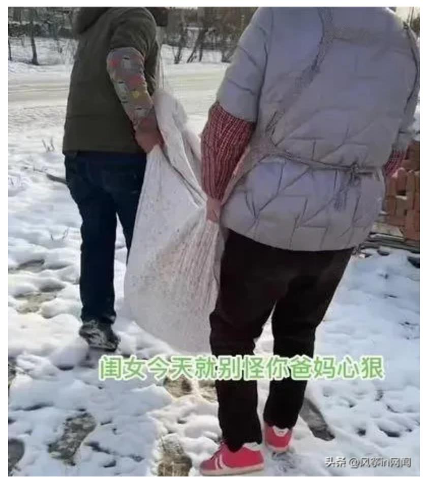 是真嫌弃呀.爸妈把26岁女儿抬雪地里扔掉后回家杀猪过年