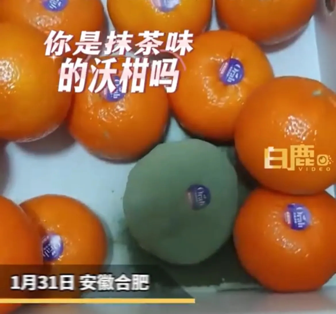 女子过年网购后晒发霉沃柑变绿色,像抹茶味被夸菌群完美