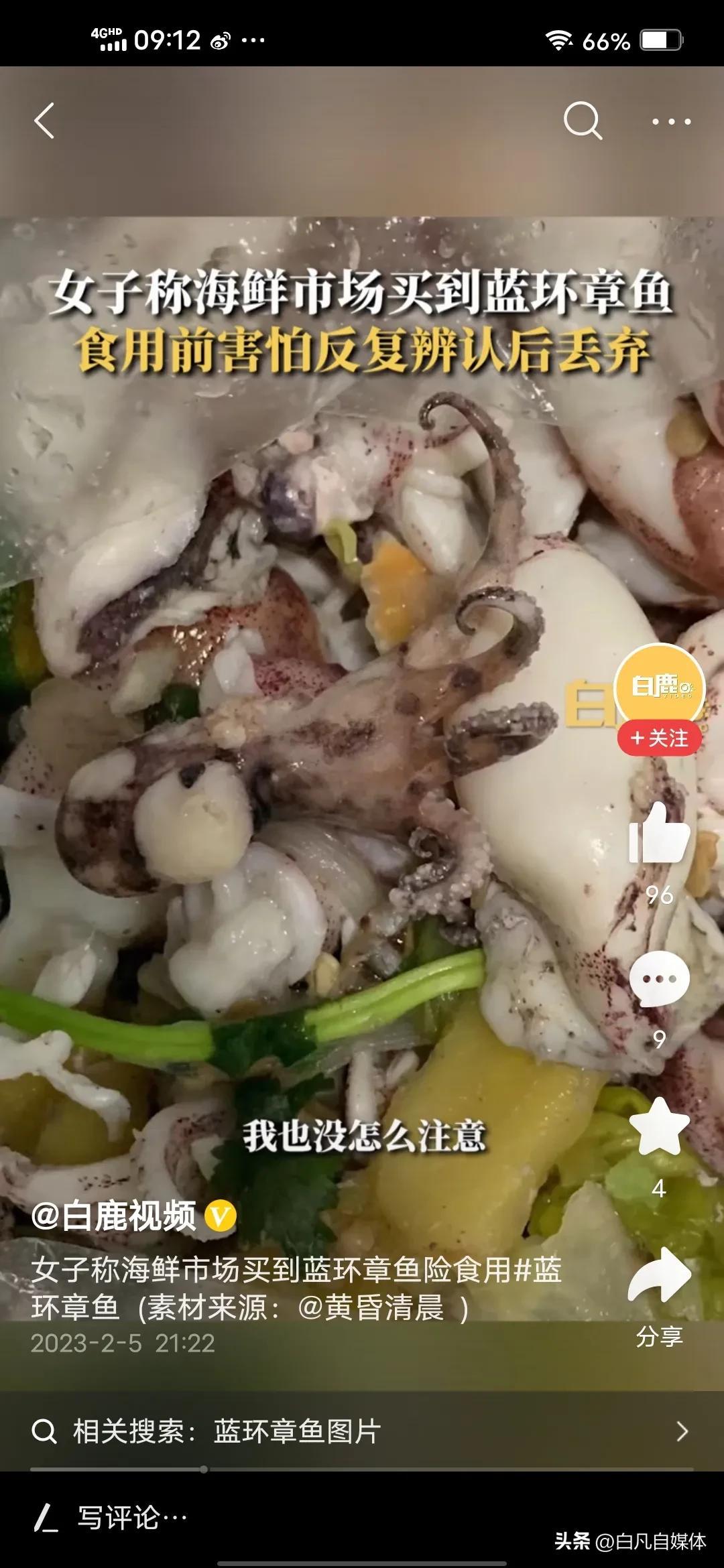 三亚女子称在海鲜市场买到巨毒蓝环章鱼.喷出来的墨水无解