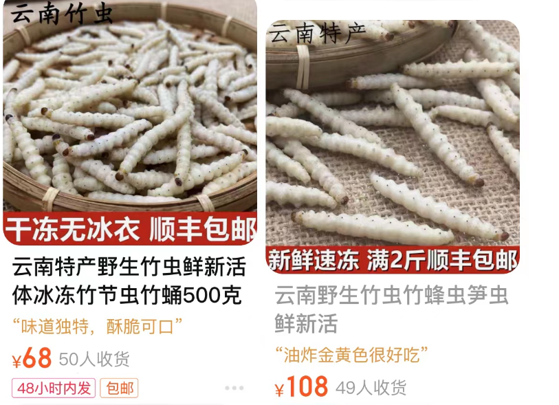 女子去丽江旅游花60元钱,在云南买2串烧烤仅8只虫