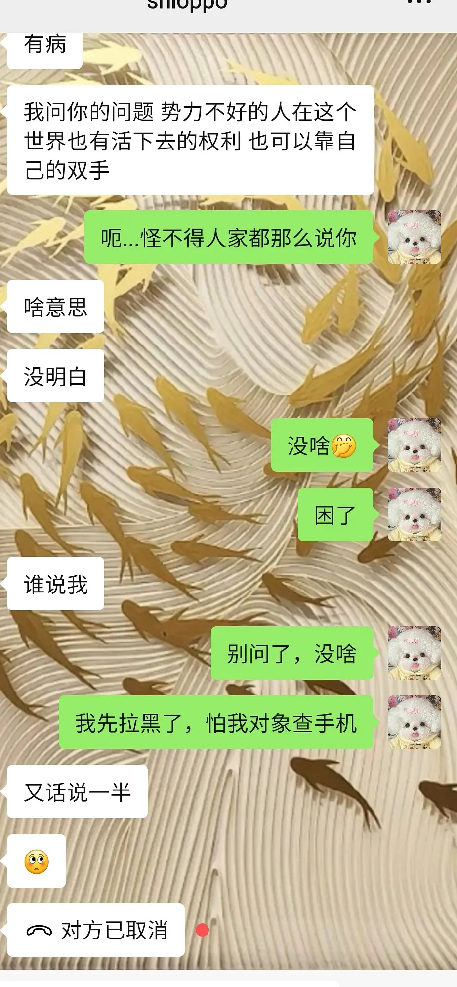 已婚前任突然加我微信后说对妻子很不满意