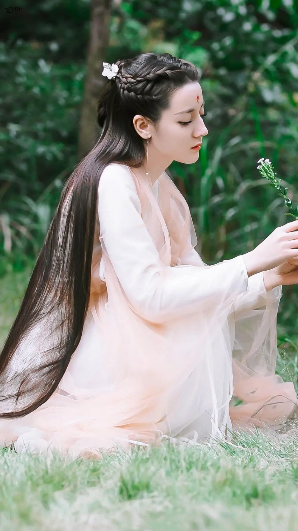 凤九玄女是好朋友：对抗和合作,矛盾与团结之间的脆弱平衡