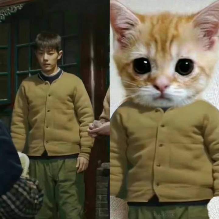 肖战撞脸狗狗，兔兔，猫猫，当表情包好想把它们都抱回家