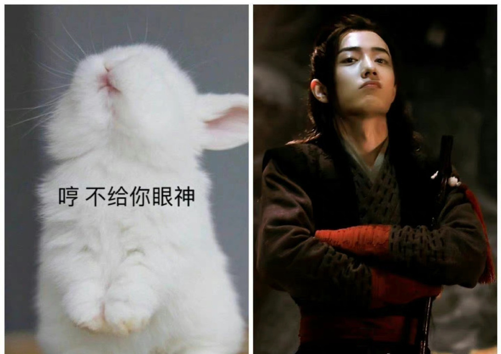 肖战撞脸狗狗，兔兔，猫猫，当表情包好想把它们都抱回家
