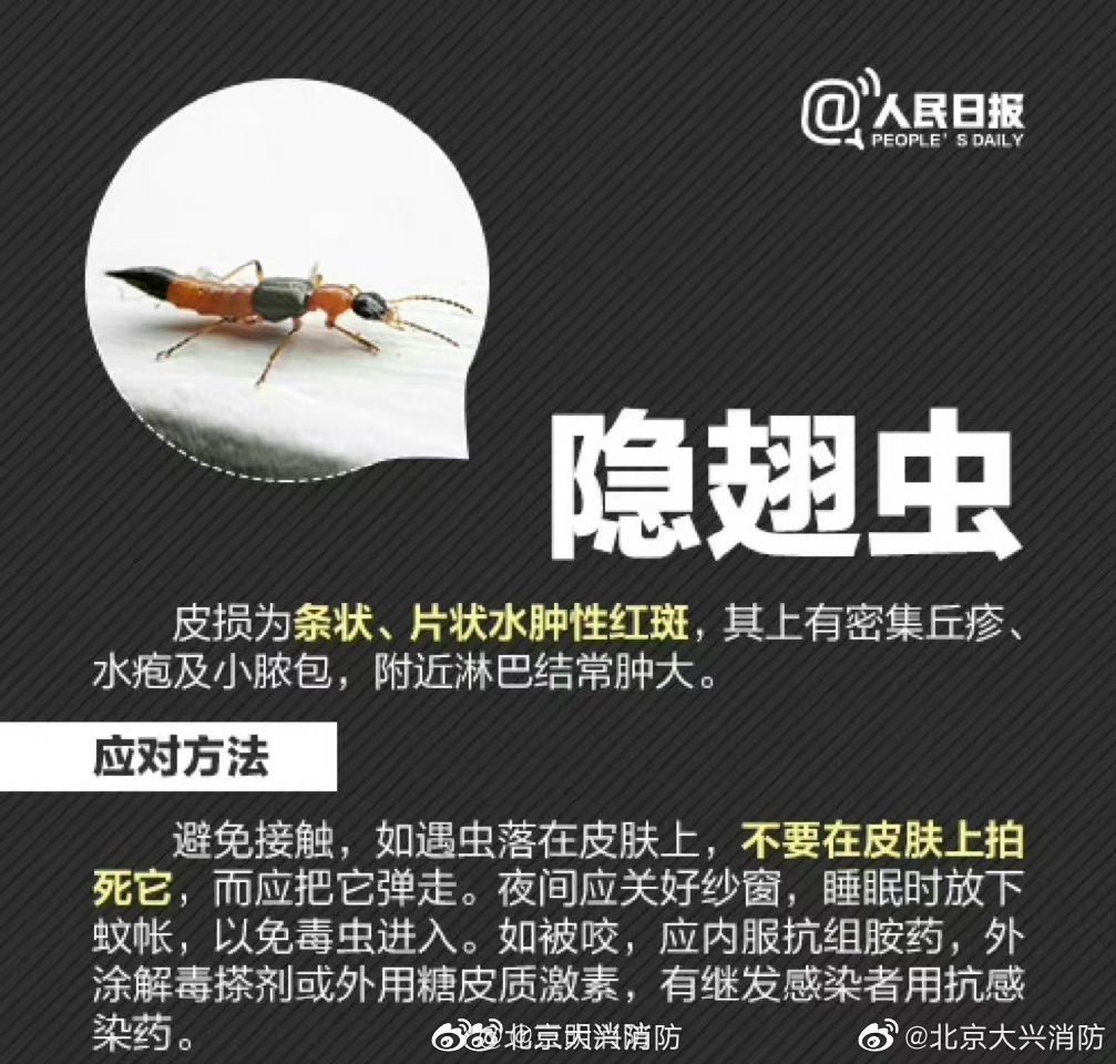 我的脸被隐翅虫毁容了之后，感觉生不如死了！