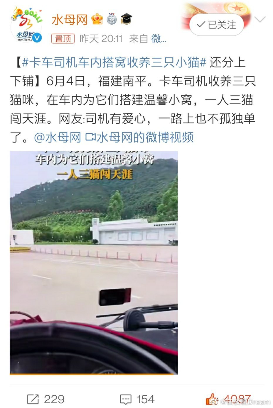 卡车司机车内搭窝收养三只小猫：一起流浪一起闯