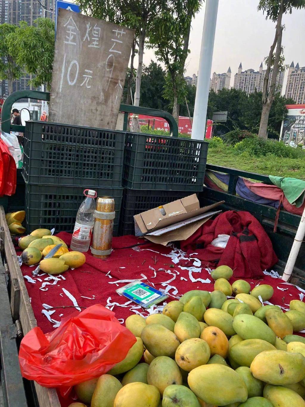 广西的水果有多便宜你上肯定想不到，街头摆着10元5个。