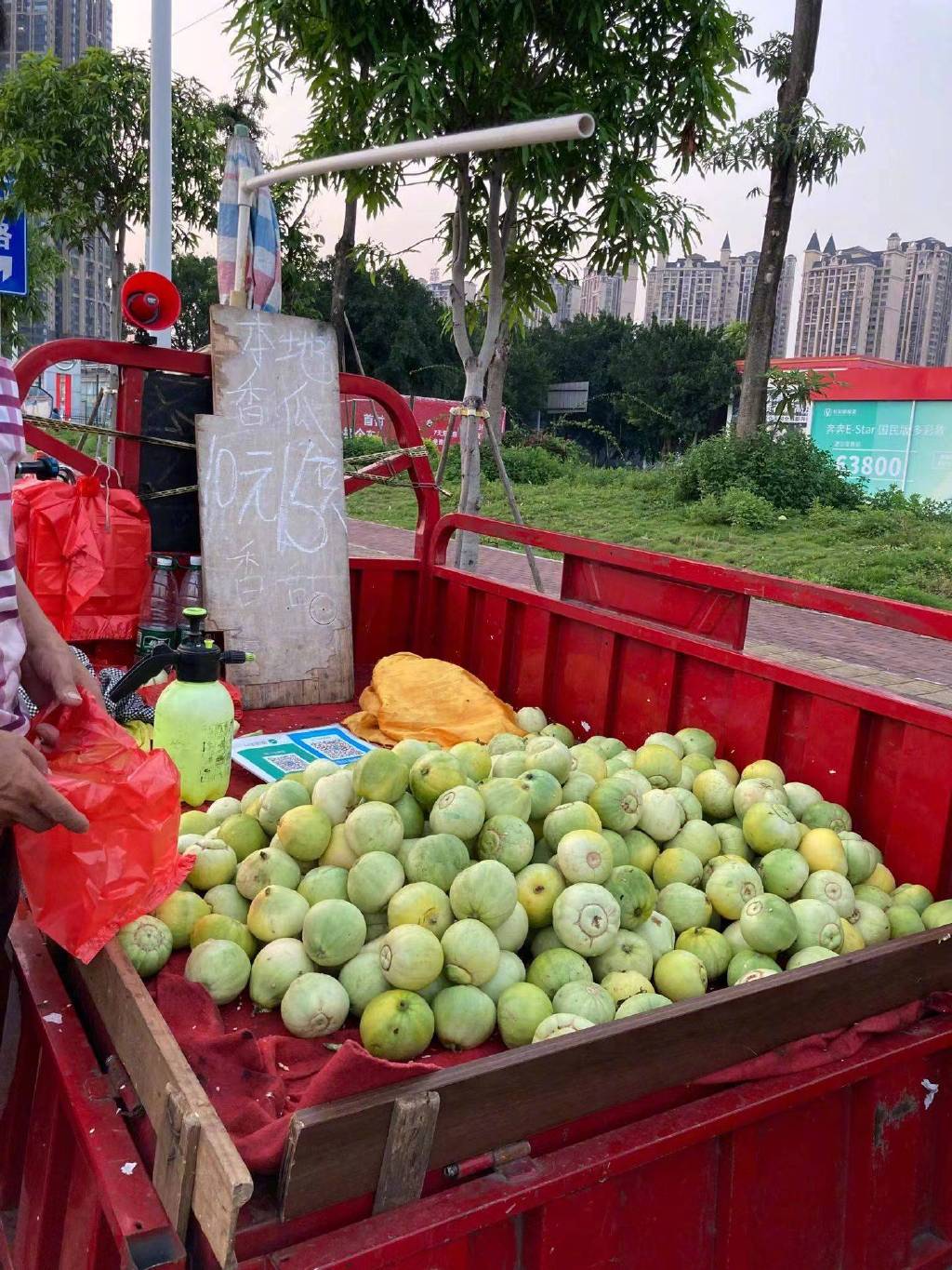 广西的水果有多便宜你上肯定想不到，街头摆着10元5个。