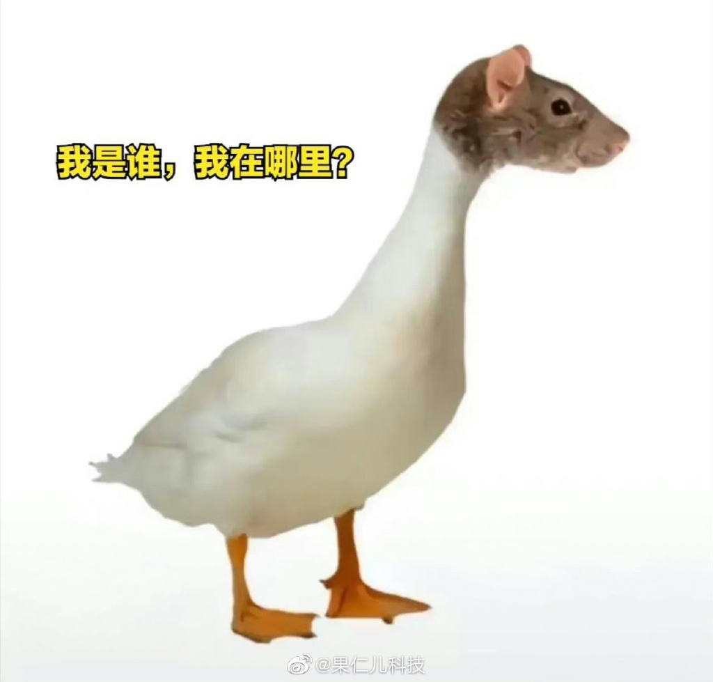 鼠头受害股开盘即闪跌，鸭脖发酵引发的8招启示！