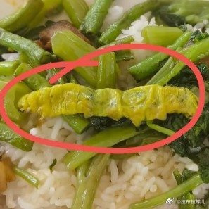 鼠头鸭脖高校再次出丑，同一窗口打菜，学生又吃出大青虫