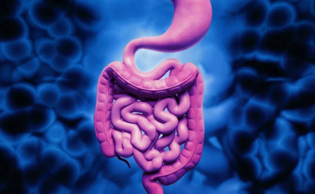 憋回去的粑粑去哪里了？今天就来讲讲大便的来龙去脉！