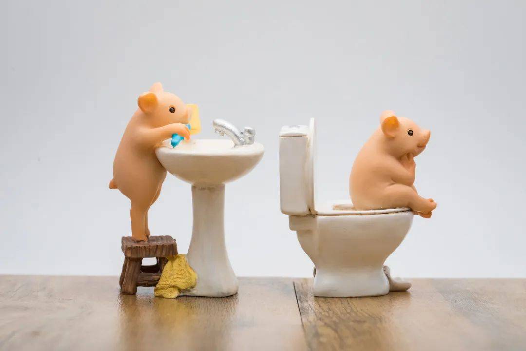 憋回去的粑粑去哪里了？今天就来讲讲大便的来龙去脉！