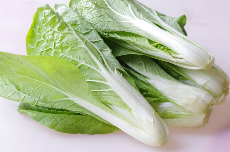 快菜每个人都吃过，涝灾后应急抢种的都是这些蔬菜呢？