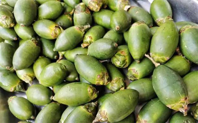 又来辟个谣：嚼槟榔对人类的危害真的有那么大吗？