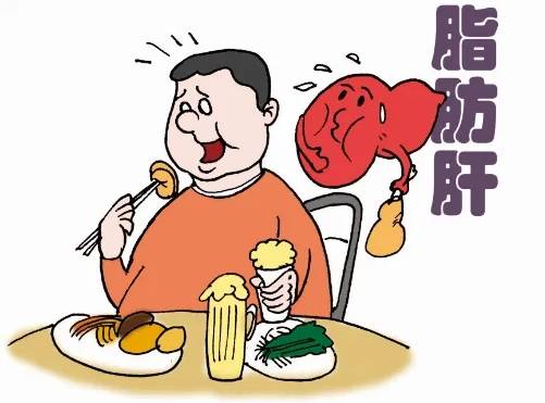 吃素不等于无脂肪肝?真相揭秘:胖人的专利,还是吃素的克星