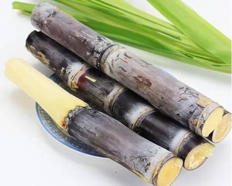 吃甘蔗也会中毒你知道吗？如何判断甘蔗已经发生了霉变