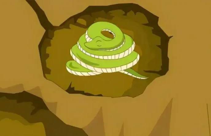 冷血动物奇葩过冬方式：你俗称的冬眠也太不浪漫了吧！