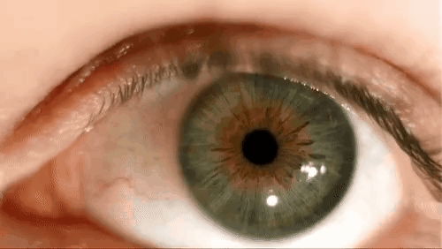 眼球的有趣秘密：虹膜抖动，停下来后的它会自已动起来！