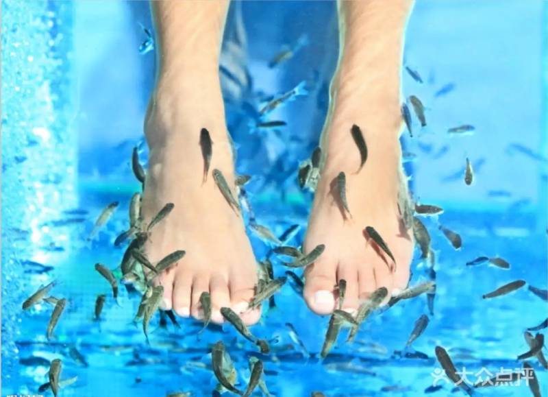 都说鱼疗可以保健，这都是那些商家为了赚钱说的幌子！