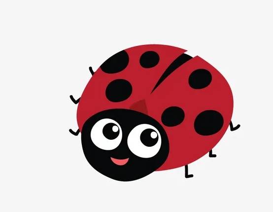 昆虫视角下的微生物世界：马赛克的奇妙眼界