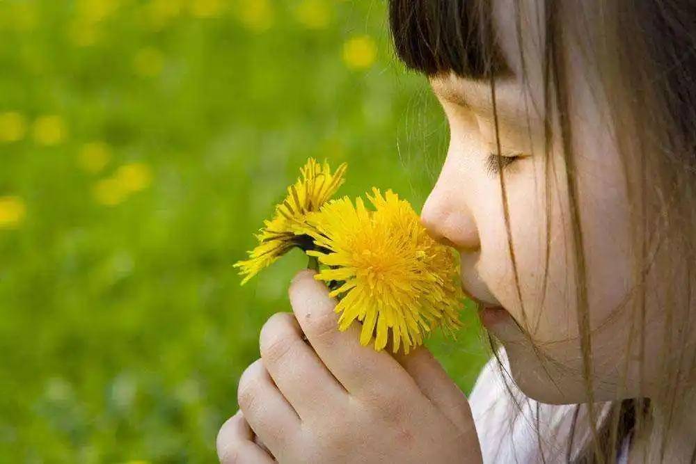 闻香丧胆？人的嗅觉在有情况下会失灵哦？