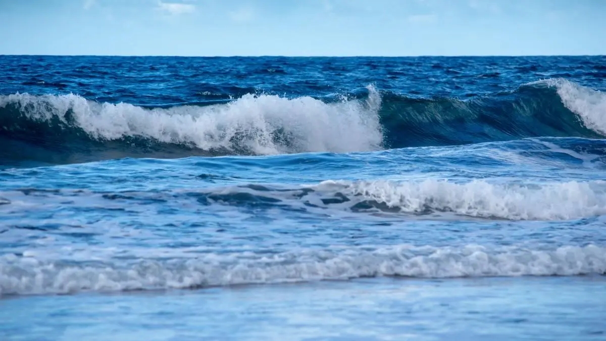 海水不能直接喝的原因，别让盐闯进你的身体