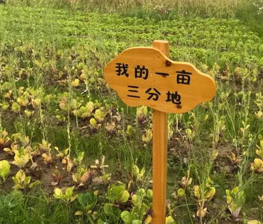 一亩三分地这个说法是怎么来的？翻翻古文就知道啦