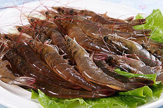 独家解密：虾与人的血液的颜色差异，为何虾流血看不见？