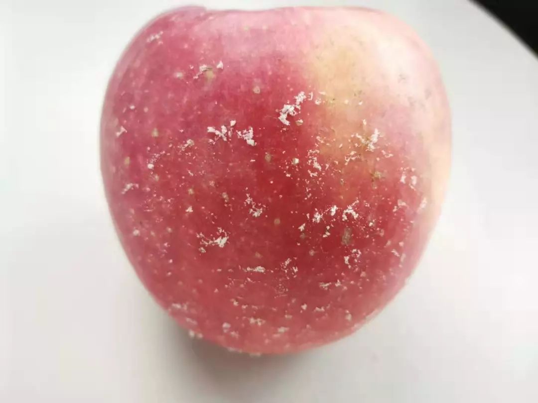 苹果为什么非要打蜡呢?能直接吃吗?享用苹果美味要注意啥?