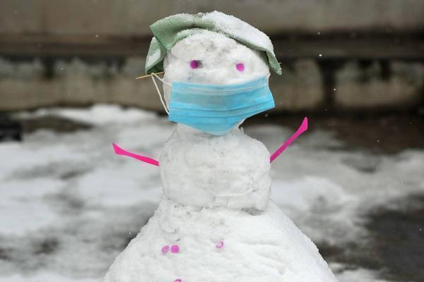 冬天的大雪会把病毒和细菌给冻死吗？真相来了哟