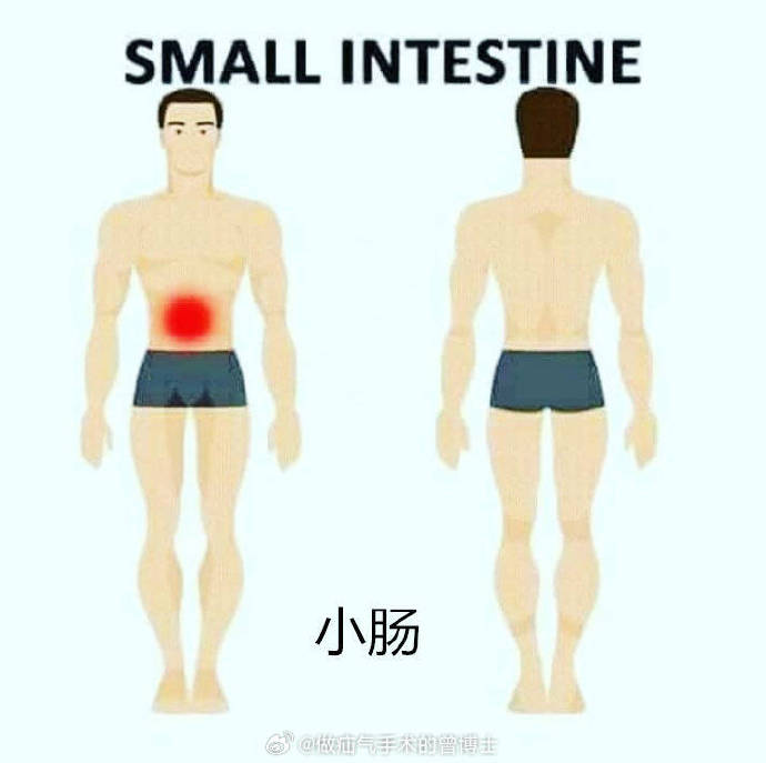 警惕身体警告,必懂各个器官疾病引起疼痛的大致范围有哪些