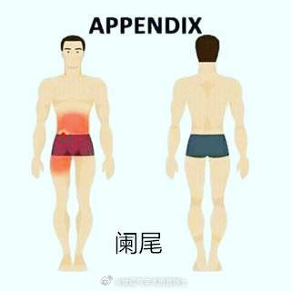 警惕身体警告,必懂各个器官疾病引起疼痛的大致范围有哪些