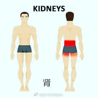 警惕身体警告,必懂各个器官疾病引起疼痛的大致范围有哪些