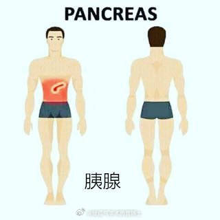 警惕身体警告,必懂各个器官疾病引起疼痛的大致范围有哪些