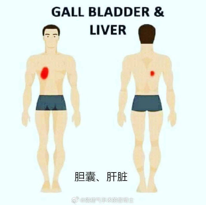 警惕身体警告,必懂各个器官疾病引起疼痛的大致范围有哪些