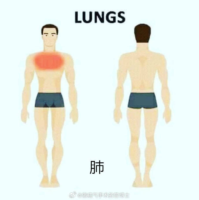 警惕身体警告,必懂各个器官疾病引起疼痛的大致范围有哪些