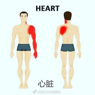 警惕身体警告,必懂各个器官疾病引起疼痛的大致范围有哪些