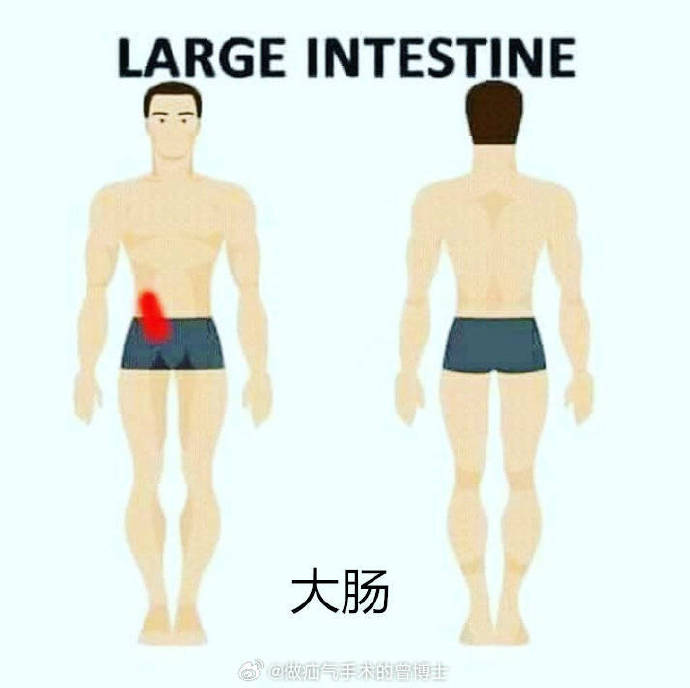 警惕身体警告,必懂各个器官疾病引起疼痛的大致范围有哪些