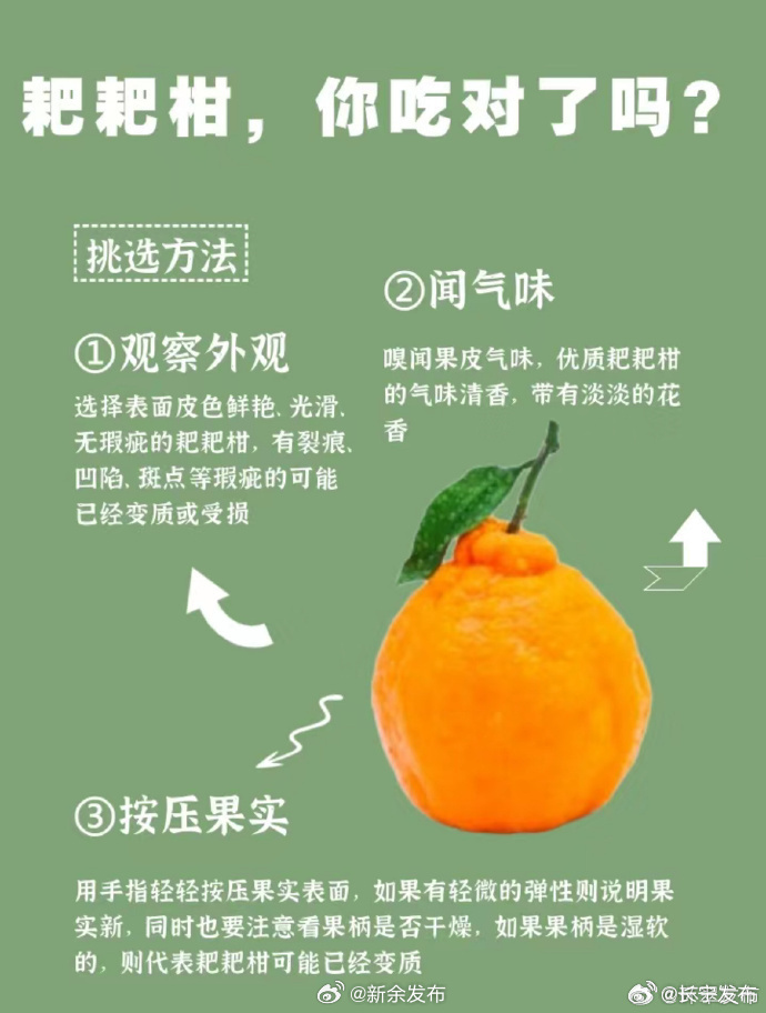 耙耙柑为何又名春见：善良的水果你喜欢吃吗？