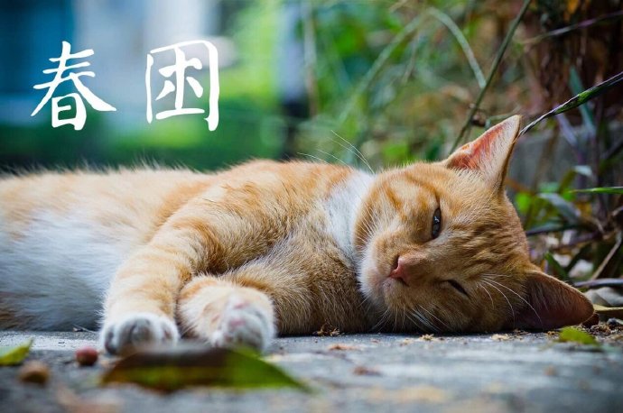 最近是不是晚上睡觉容易醒？因为春天睡不好是正常现象啦