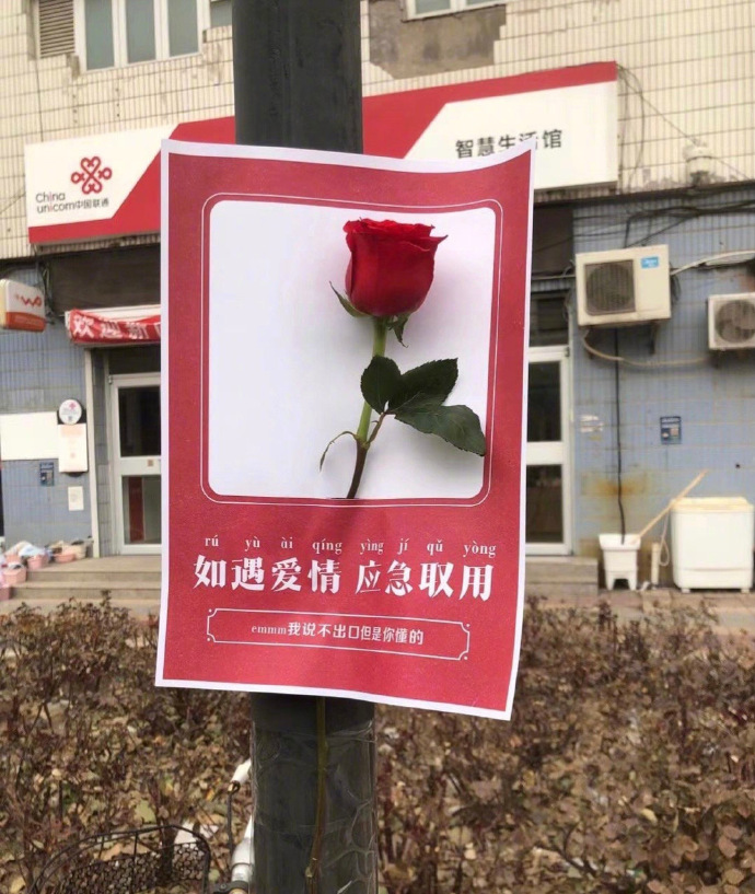 有人弃我如杂草，有人视我如珍宝！你能懂吗？